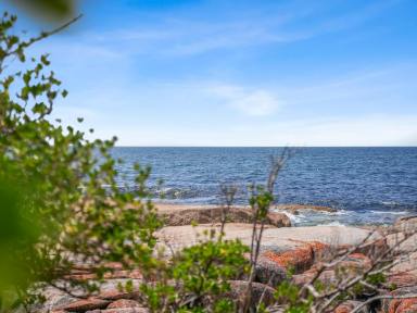 Residential Block For Sale - TAS - Bicheno - 7215 - A Coastal Gem with Approved Plans & Ocean Views  (Image 2)