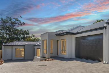 House For Sale - WA - Nollamara - 6061 - 3 BRAND NEW HOMES - COMING SOON!  (Image 2)