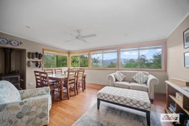 Acreage/Semi-rural For Sale - NSW - Killawarra - 2429 - A Private Country Sanctuary Close To Town  (Image 2)