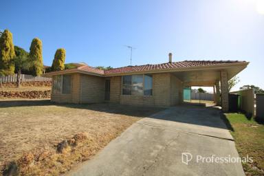 House For Lease - WA - Australind - 6233 - Centrally Located Australind Family Home with Rear Workshop  (Image 2)