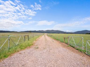Residential Block For Sale - TAS - Nook - 7306 - Premium Grazing Property  (Image 2)
