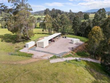 Residential Block For Sale - TAS - Nook - 7306 - Premium Grazing Property  (Image 2)