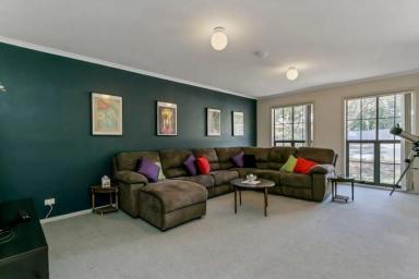House Leased - SA - Enfield - 5085 - Lovely Renovated 4 Bedroom Home in Enfield Spacious, Comfortable & Low Maintenance  (Image 2)