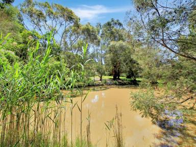 House For Sale - VIC - Nicholson - 3882 - PEACEFUL ACREAGE LIVING ON 6 PRIVATE ACRES  (Image 2)