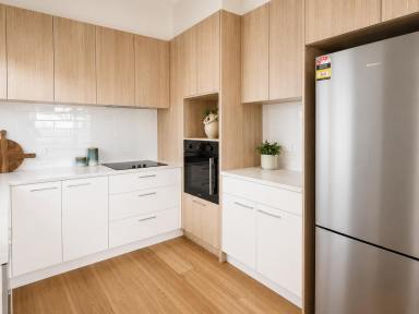 House For Sale - NSW - Batemans Bay - 2536 - Lifestyle Opportunity - Nearing Completion  (Image 2)