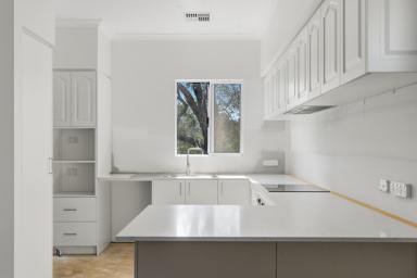 House Sold - WA - Bridgetown - 6255 - Never- before- lived in Modern Cottage  (Image 2)