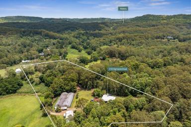Acreage/Semi-rural For Sale - QLD - Eudlo - 4554 - Rare Sunshine Coast Property with Proven Income Potential!  (Image 2)