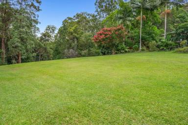 Acreage/Semi-rural For Sale - QLD - Eudlo - 4554 - Sunshine Coast Property Magic!!! Income Potential!!!  (Image 2)