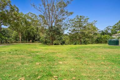 Acreage/Semi-rural For Sale - QLD - Eudlo - 4554 - Rare Sunshine Coast Property with Proven Income Potential!  (Image 2)