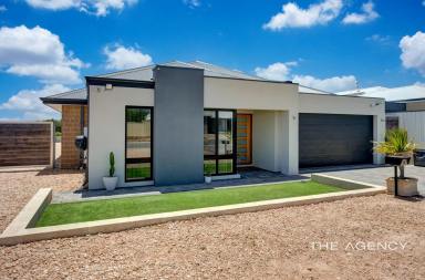 House For Sale - WA - Wandina - 6530 - NOW SELLING - SENSATIONAL CHRISTMAS BUYING - YOUR NEW FAMILY HOME (Image 2)