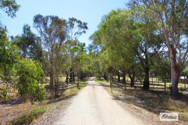 Acreage/Semi-rural For Sale - VIC - Sedgwick - 3551 - SUBSTANTIAL DUAL LIVING HOME ON 30 PICTURESQUE ACRES  (Image 2)