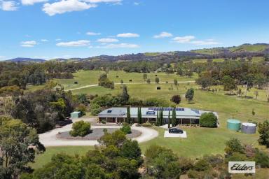 Acreage/Semi-rural For Sale - VIC - Sedgwick - 3551 - SUBSTANTIAL DUAL LIVING HOME ON 30 PICTURESQUE ACRES  (Image 2)