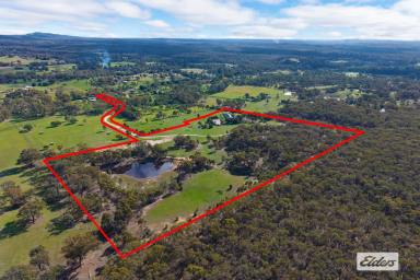 Acreage/Semi-rural For Sale - VIC - Sedgwick - 3551 - SUBSTANTIAL DUAL LIVING HOME ON 30 PICTURESQUE ACRES  (Image 2)
