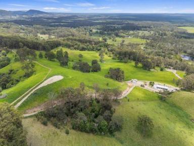 Studio For Sale - QLD - Goomboorian - 4570 - PROPERTY OF THE DECADE  (Image 2)