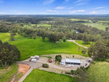 Studio For Sale - QLD - Goomboorian - 4570 - PROPERTY OF THE DECADE  (Image 2)