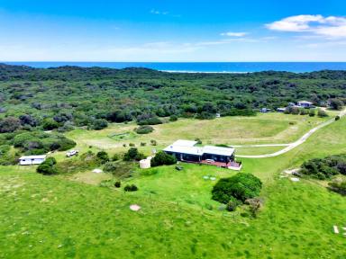 House For Sale - VIC - Sandy Point - 3959 - Waterfront Acreage with Income Potential: A Sanctuary on Shallow Inlet  (Image 2)
