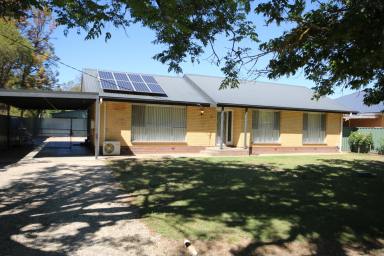 House For Sale - VIC - Elmore - 3558 - MOVE-IN READY FAMILY HOME ON 800sqm ALLOTMENT  (Image 2)