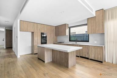 House For Lease - VIC - Parkdale - 3195 - Architect-Designed Contemporary Living in the Heart of Parkdale  (Image 2)