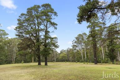 Lifestyle For Sale - NSW - Sawyers Gully - 2326 - As Rare as Hen’s Teeth  (Image 2)