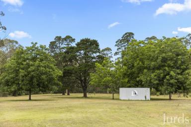 Lifestyle For Sale - NSW - Sawyers Gully - 2326 - As Rare as Hen’s Teeth  (Image 2)