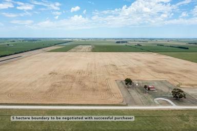 House For Sale - SA - Coonawarra - 5263 - 'Balragon'  (Image 2)