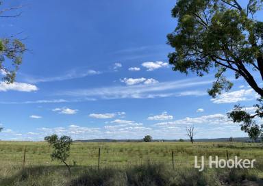 Mixed Farming For Sale - NSW - Inverell - 2360 - 'Riverview' 1111 Karoola Road, Graman NSW 2360  (Image 2)