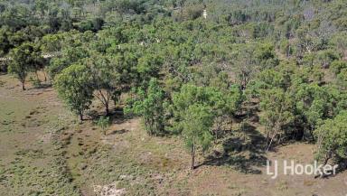 Mixed Farming For Sale - NSW - Inverell - 2360 - 'Mona Lisa' 1123 Karoola Road, Graman NSW 2360  (Image 2)