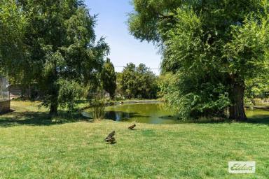 Residential Block For Sale - TAS - West Ulverstone - 7315 - BUILD YOUR FOREVER HOME  (Image 2)