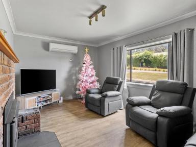 House For Sale - TAS - Railton - 7305 - 3 Bedroom Home in Railton town of Topiary  (Image 2)