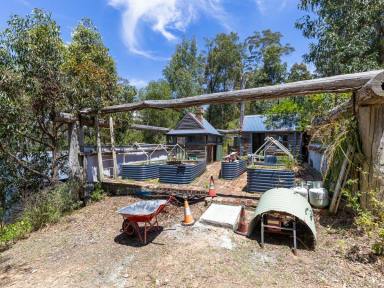 Acreage/Semi-rural For Sale - NSW - Chinnock - 2550 - 40 ACRES OF NATURAL BUSH BEAUTY  (Image 2)