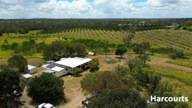 House For Sale - QLD - Booyal - 4671 - 4 BEDROOM HOME -  MASSIVE SHED - ACREAGE  (Image 2)
