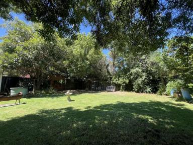 House For Sale - VIC - Quarry Hill - 3550 - A Timeless Piece of Quarry Hill History: Charming Period Home with Future Potential  (Image 2)