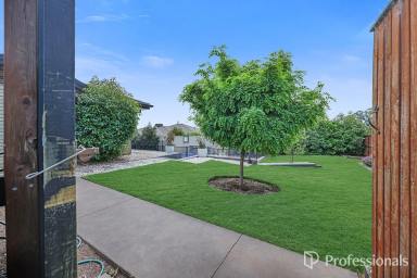 House For Sale - NSW - Calala - 2340 - 4 Bedroom House for Sale Tamworth  (Image 2)