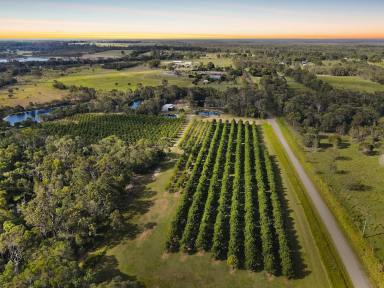Acreage/Semi-rural For Sale - QLD - Goodwood - 4660 - RIVER FRONTAGE PROPERTY PRODUCING AN ANNUAL INCOME  (Image 2)