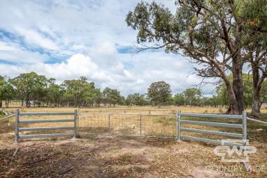 Lifestyle For Sale - NSW - Torrington - 2371 - Create Your Country Dream on 40 Acres (Image 2)