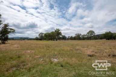 Lifestyle For Sale - NSW - Torrington - 2371 - Create Your Country Dream on 40 Acres (Image 2)