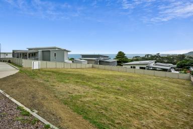 Residential Block For Sale - TAS - Bicheno - 7215 - Coastal Opportunity with Views & Privacy  (Image 2)