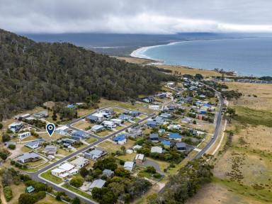 Residential Block For Sale - TAS - Bicheno - 7215 - Coastal Opportunity with Views & Privacy  (Image 2)