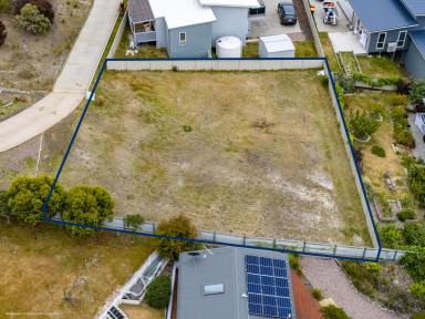 Residential Block For Sale - TAS - Bicheno - 7215 - Coastal Opportunity with Views & Privacy  (Image 2)