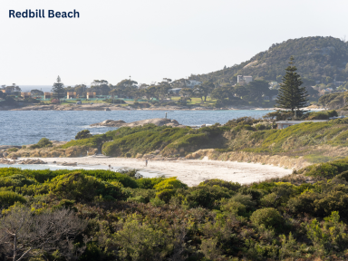 Residential Block For Sale - TAS - Bicheno - 7215 - Coastal Opportunity with Views & Privacy  (Image 2)