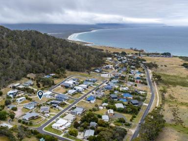 Residential Block For Sale - TAS - Bicheno - 7215 - Coastal Opportunity with Views & Privacy (Image 2)