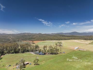 Residential Block For Sale - TAS - Mawbanna - 7321 - Rural Lifestyle Opportunity – 63 Hectares with Native Bush & Pasture (Image 2)