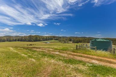 Residential Block For Sale - TAS - Mawbanna - 7321 - Rural Lifestyle Opportunity – 63 Hectares with Native Bush & Pasture  (Image 2)