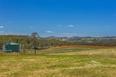 Residential Block For Sale - TAS - Mawbanna - 7321 - Rural Lifestyle Opportunity – 63 Hectares with Native Bush & Pasture (Image 2)