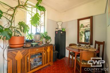 House Leased - NSW - Glen Innes - 2370 - 165 Hunter Street, Glen Innes – Available 21 January 2026  (Image 2)