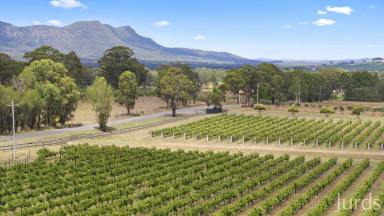 Lifestyle For Sale - NSW - Pokolbin - 2320 - Rothvale & Hunter Habit Cottages - Hunter Valley Wine & Tourism Business  (Image 2)