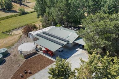 Lifestyle For Sale - NSW - Bywong - 2621 - Extensively Renovated & Vacant - Rural Living Only 20 Minutes to Canberra CBD (Image 2)