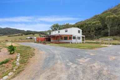 House For Sale - NSW - Tumut - 2720 - Modern Off-Grid Sanctuary with River Frontage  (Image 2)