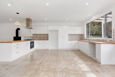 House For Sale - NSW - Tumut - 2720 - Modern Off-Grid Sanctuary with River Frontage  (Image 2)