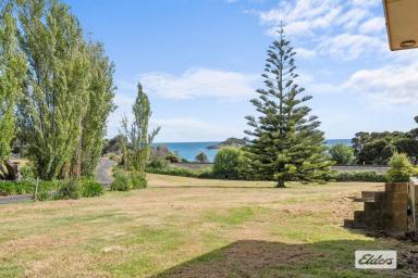 House Auction - TAS - West Ulverstone - 7315 - A ONCE-IN-A-LIFETIME BEACHFRONT OPPORTUNITY  (Image 2)